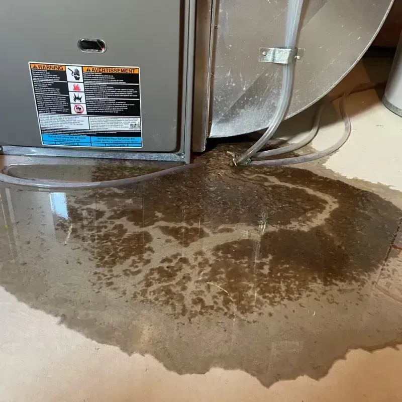 Appliance Leak Cleanup in Reedsville, WI