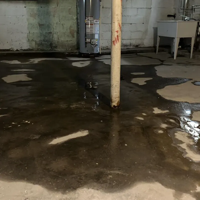 Emergency Water Extraction And Removal in Reedsville, WI